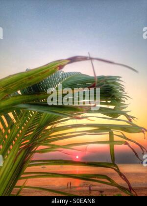Coucher de soleil sur la plage de Vesteys dans Darwin, Territoire du Nord, Australie. Banque D'Images