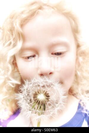 Young Girl blowing dandelion seed head Banque D'Images