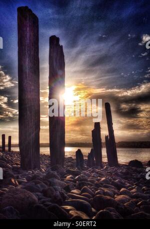 Par éclatement soleil bois épis abandonnés sur une plage de galets par le détroit de Menai sur Anglesey Banque D'Images