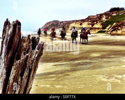 Plage de cowboys à cheval dans le Nord de la Californie, USA. Banque D'Images