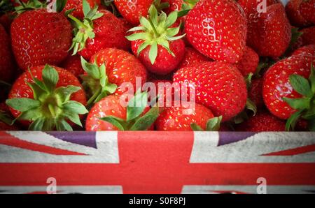 Anglais britannique / fraises dans une Union Jack punnett Banque D'Images