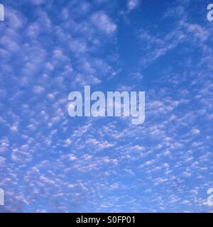La formation de nuages Altocumulus, Hampshire, Angleterre, Royaume-Uni. Banque D'Images