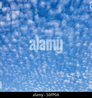 La formation de nuages Altocumulus, Hampshire, Angleterre, Royaume-Uni. Banque D'Images