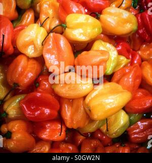 Piment Habanero au marché Mercado de Medellin, Colonia Roma, Mexico, Mexique Banque D'Images