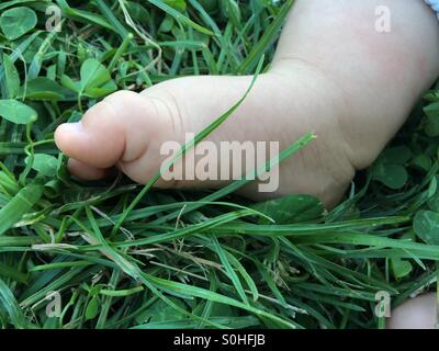 Le pied de bébé sur une herbe verte Banque D'Images