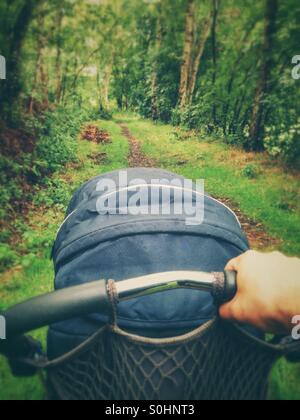 Homme poussant un landau sur un chemin forestier avec une végétation dense Banque D'Images