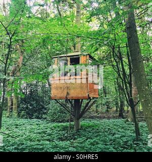 Une cabane dans les bois dans le Northumberland Banque D'Images