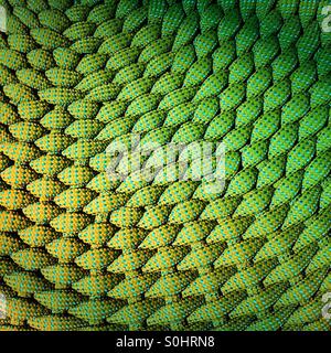 La texture de tissu vert Créer un modèle de conception unique. Banque D'Images
