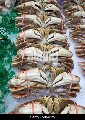 Le crabe dormeur sur l'affichage à Pike Place Market à Seattle, Washington, États-Unis Banque D'Images