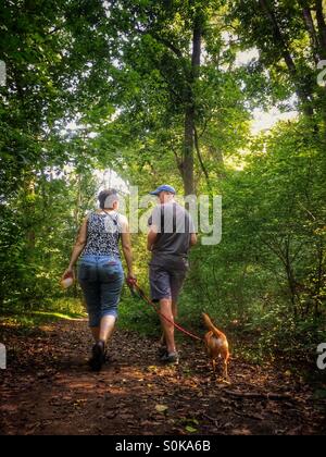 Couple walking dog dans les bois Banque D'Images