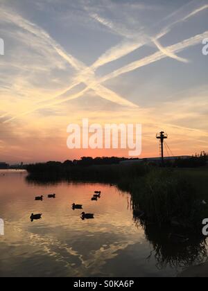 Coucher de soleil sur le lac Malta Poznan, Pologne Banque D'Images