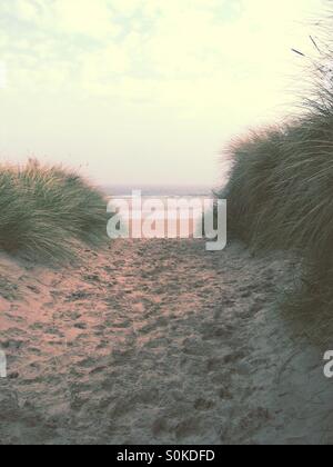 Un chemin de sable entre les dunes qui mène à la plage. Banque D'Images