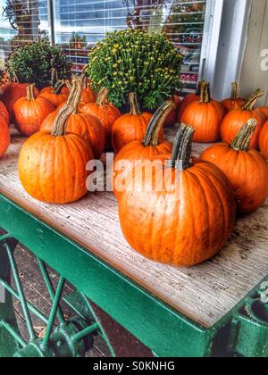 Pumkins et mamans sur un wagon vert. Banque D'Images