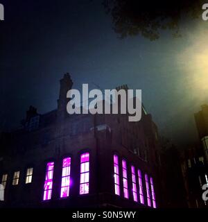 Windows dans la nuit rose - Pink Panda, Borough Market, Winchester, London, UK Banque D'Images