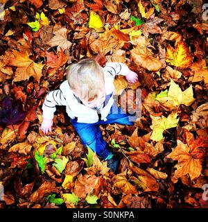 Petit garçon est assis dans la pile de feuilles d'automne Banque D'Images