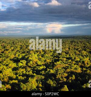 Une tempête sur la jungle vu de la danta pyramide en la ville maya de Mirador, Peten, Guatemala Banque D'Images