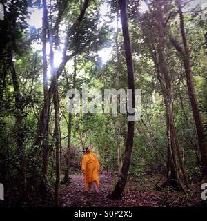 Une femme vêtu d'un poncho de pluie jaune promenades dans la ville maya de Mirador, Peten, Guatemala. Banque D'Images