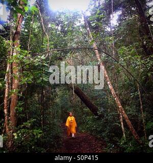 Une femme portant un poncho jaune promenades dans la jungle dans la ville maya de Mirador, Peten, Guatemala Banque D'Images