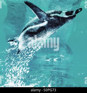 La tête en bas sous l'eau. Banque D'Images