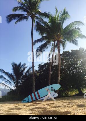 Les planches sur un rack sur une plage. Hanalei, Kauai, Hawaii USA. Banque D'Images