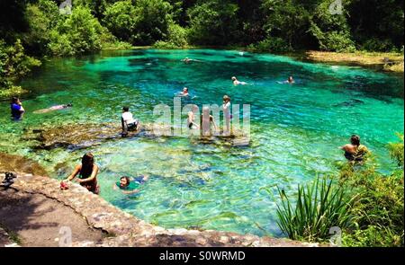 Les personnes bénéficiant d'un endroit frais nager dans la tête printemps Ichetucknee Springs, Floride, Juin 2014 Banque D'Images