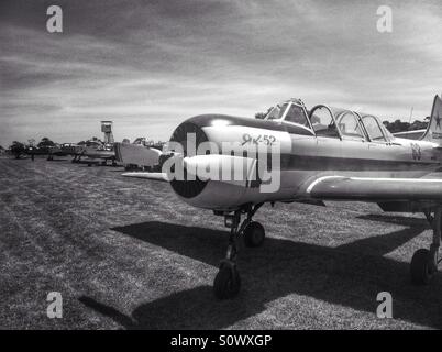 Yakovlev Yak-52 avion d'entraînement militaire russe Banque D'Images