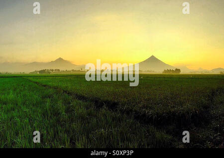 Le majestueux Mt. À Mayon, Philippines Albay Banque D'Images