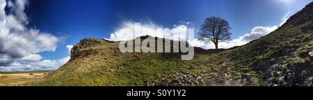 Une vue panoramique de Sycamore Gap le long mur d'Hadrien, dans le Northumberland 2016 Banque D'Images