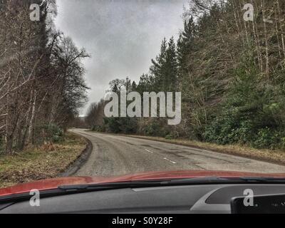 Conduire sur une route de campagne sinueuse dans une forêt Banque D'Images