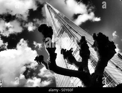 Le shard, dramatique nuages et un coupé des arbres de Londres. R.-U. Banque D'Images