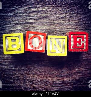 Os mot fait avec des cales en bois lettres alphabet Banque D'Images