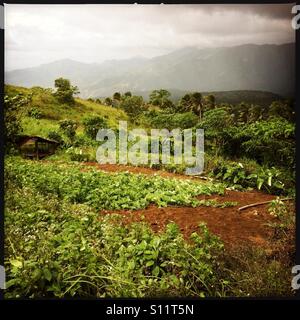 Une tempête venant dans plus de crédits sur une colline, Marinduque, Philippines Banque D'Images