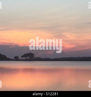 Un lever de soleil sur l'étang à Kiawah Island, SC. Banque D'Images