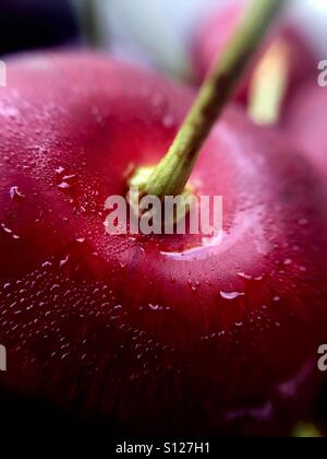 Gros plan sur une cerise douce Banque D'Images