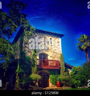 Domaine viticole dans la région de Napa Valley, Californie Banque D'Images