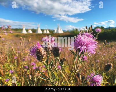 Au camping Tipis Indiens Blackfeet sur l'est du Glacier National Park, Montana Banque D'Images