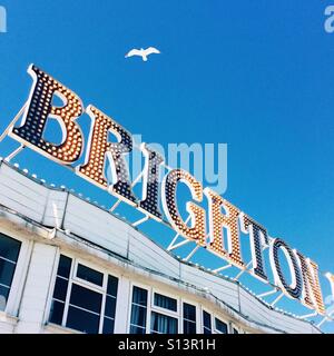 Brighton sign in lumières avec une mouette volant au-dessus Banque D'Images