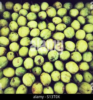 Début des cours d'eau les prunes Banque D'Images