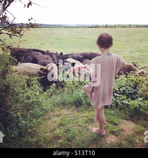 Sept ans, garçon jouant un ukulélé à un entendu parler de vaches. Banque D'Images