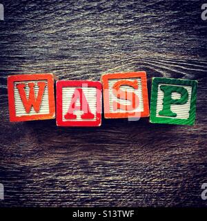 WASP mot écrit avec une cale en bois lettre toys Banque D'Images