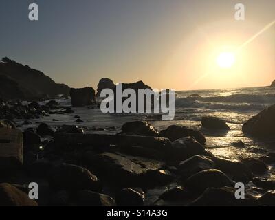 Land's End - San Francisco Banque D'Images