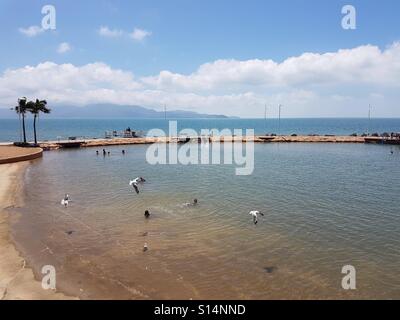 Rock Townsville Magnetic Island avec piscine dans l'arrière-plan Banque D'Images