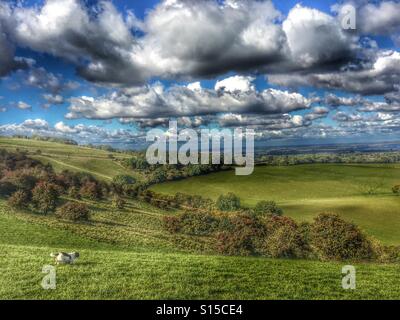 Paysage d'automne sur le comté de Wiltshire donnant sur la frontière de la vallée de Kennet sur un beau jour avec nuages de beau temps Banque D'Images