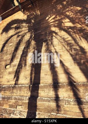 Palm tree ombre jetée contre le mur en Majorque Espagne Banque D'Images