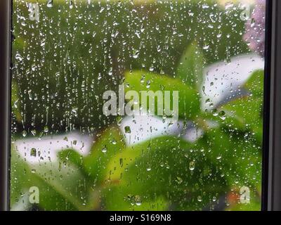 Jour de pluie,pluie,journée, jour,fenêtre,volet,volet,humide,,météo,vert,gouttelette gouttelette de pluie,tournant, Banque D'Images