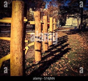 Sculptures d'arbres faites de cendres menacées par l'agrile du frêne, Ontario, Canada. Arbres morts ou en train de mourir réaffectés au service de l'art. Banque D'Images