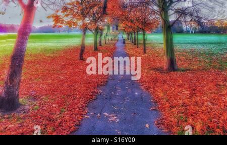 L'automne à Peckham Rye park. Banque D'Images