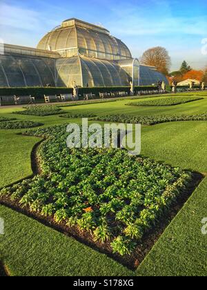 Palm House, Kew Gardens Banque D'Images