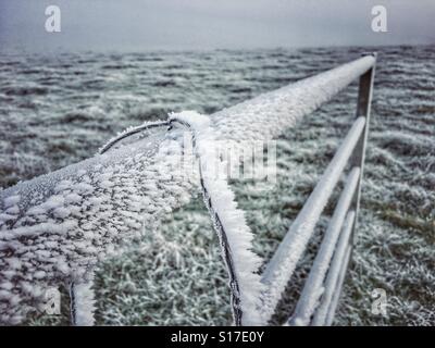 Givre sur un field gate en milieu rural Somerset Banque D'Images