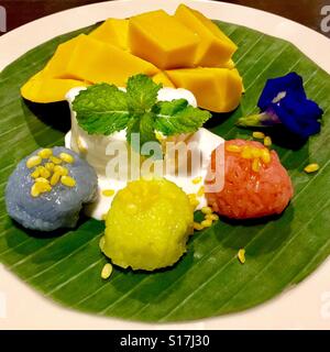 Mangue thaï dessert servi avec riz gluant coloré, Chiang Mai Banque D'Images